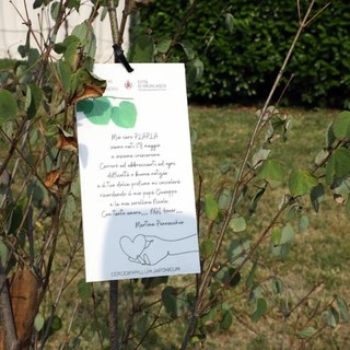 Ambiente, al via a Grugliasco la quinta edizione di "Dona un albero"