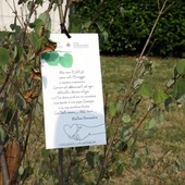 Ambiente, al via a Grugliasco la quinta edizione di "Dona un albero" Ambiente, al via a Grugliasco la quinta edizione di "Dona un albero"