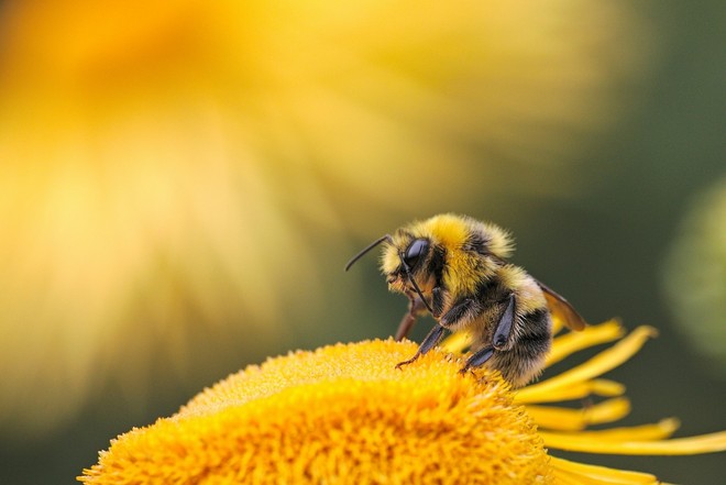 Foto di Dmitry Grigoriev - tramite Unsplash