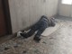 C’è uno sconosciuto che dorme nell’androne: “Qui serve più sicurezza”