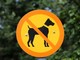 Quincinetto, bar e locali vietati ai cani