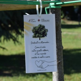 A Grugliasco c'è ancora tempo per "Dona un albero 2026" A Grugliasco c'è ancora tempo per "Dona un albero 2026"