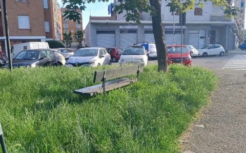 Sfalci a Torino nord, la Circoscrizione 6 frena: “Qualche dubbio sul piano”