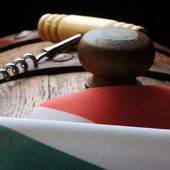 EGOInternational, Piemonte: cresce l'export nel 1° semestre dell'anno