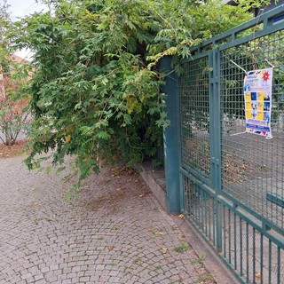 Erbacce in via Pisacane