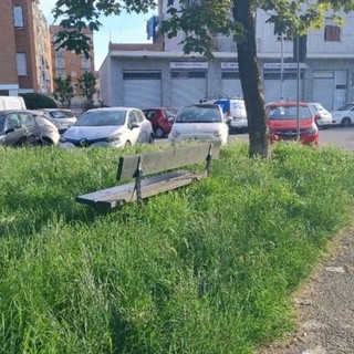 Sfalci a Torino nord, la Circoscrizione 6 frena: “Qualche dubbio sul piano” Sfalci a Torino nord, la Circoscrizione 6 frena: “Qualche dubbio sul piano”