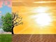 Emergenza climatica in manifesto che mostra albero nelle due fasi: rigoglioso e scarno