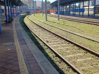 Ex stazione Dora, nuova giornata di pulizia Ex stazione Dora, nuova giornata di pulizia