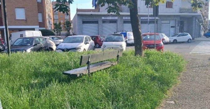 Sfalci a Torino nord, la Circoscrizione 6 frena: “Qualche dubbio sul piano” Sfalci a Torino nord, la Circoscrizione 6 frena: “Qualche dubbio sul piano”