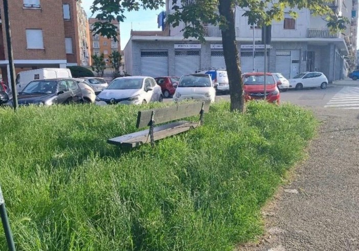 Sfalci a Torino nord, la Circoscrizione 6 frena: “Qualche dubbio sul piano” Sfalci a Torino nord, la Circoscrizione 6 frena: “Qualche dubbio sul piano”