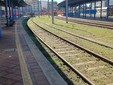 Ex stazione Dora, nuova giornata di pulizia Ex stazione Dora, nuova giornata di pulizia