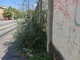 Le erbacce sul marciapiede