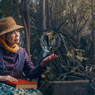 Il 29° Festival CinemAmbiente a Torino dal 3 al 7 giugno 2026