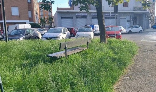 Circoscrizione 4, sfalci del verde puntuali ma c'è chi sbuffa: “Tre interventi l’anno non bastano” Circoscrizione 4, sfalci del verde puntuali ma c'è chi sbuffa: “Tre interventi l’anno non bastano”