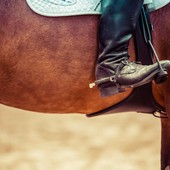 Pinerolo aiuta le persone disabili a praticare sport