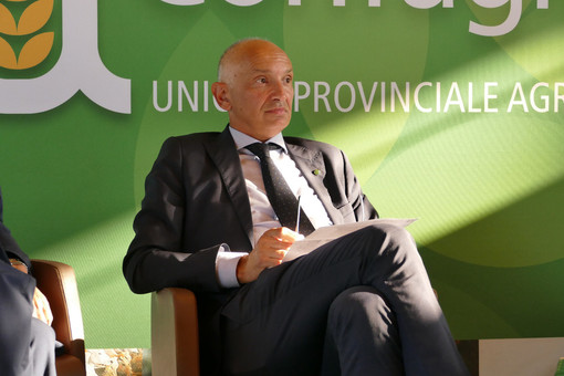 Enrico Allasia, presidente Federazione Nazionale Risorse Boschive Confagricoltura
