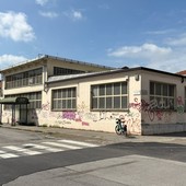 La denuncia dei residenti: “D’estate il problema diventa insopportabile” La denuncia dei residenti: “D’estate il problema diventa insopportabile”