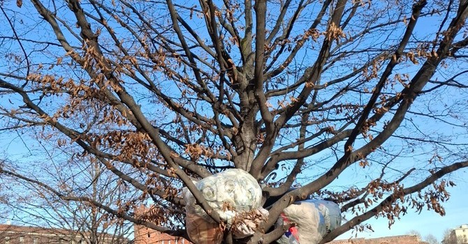 La situazione del parco archeologico