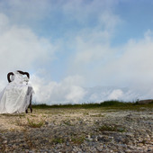 (Foto di Monica Zingarelli)