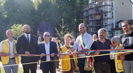 Riforestazione urbana a Collegno, un nuovo spazio verde in Città