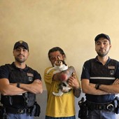 Il gattino Noah intrappolato in un garage per due giorni, salvato dalla Polizia Il gattino Noah intrappolato in un garage per due giorni, salvato dalla Polizia