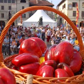 foto di archivio