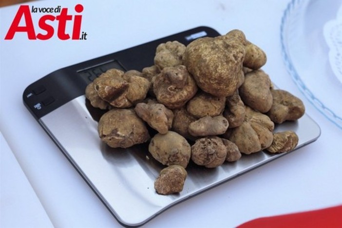 Foto di repertorio