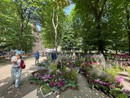 Da oggi Flor profuma e colora i Giardini Reali di Torino