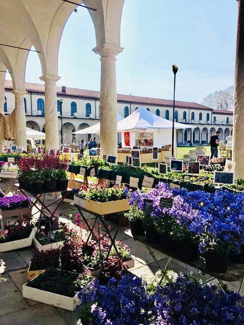 Follia in Fiore dà il benvenuto alla Primavera a Collegno Follia in Fiore dà il benvenuto alla Primavera a Collegno