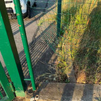 Il varco da cui sono entrati i ladri Il varco da cui sono entrati i ladri