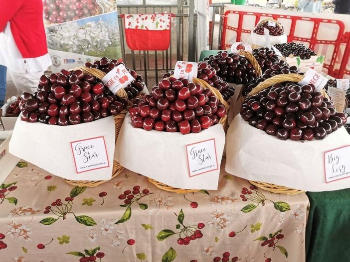 Pecetto, tutto pronto per la 110° edizione della Festa delle ciliegie