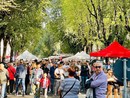 Borgo Vittoria in festa, via Breglio si trasforma in un'isola pedonale