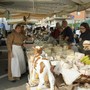 Festa Rurale del Cevrin di Coazze