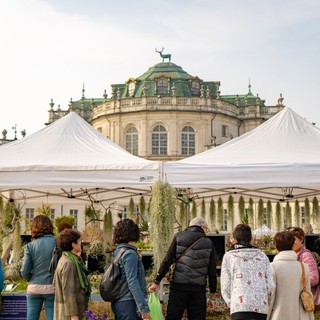 Anteprima Floreal trasforma la Palazzina di Stupinigi nella residenza del verde