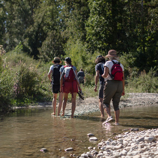 Nasce il Festival del Paesaggio Fluviale Arte contemporanea: ecologie radicali e ricerca internazionale lungo il Sangone Nasce il Festival del Paesaggio Fluviale Arte contemporanea: ecologie radicali e ricerca internazionale lungo il Sangone