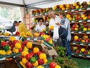 Tutto pronto per la 76ª Fiera del Peperone di Carmagnola: un omaggio al tesoro del Piemonte Tutto pronto per la 76ª Fiera del Peperone di Carmagnola: un omaggio al tesoro del Piemonte