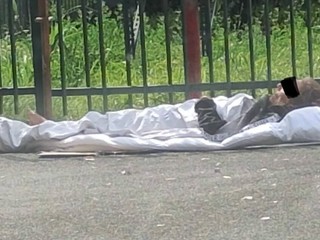 Allarme sicurezza nella zona del parco Sempione Allarme sicurezza nella zona del parco Sempione