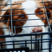 Foto di Hermes Rivera tramite Unsplash