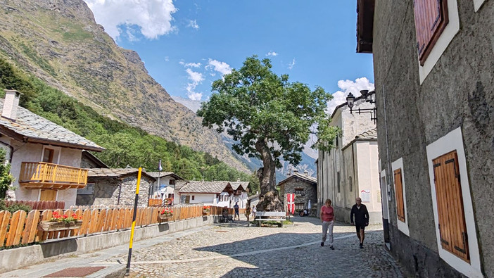 Estate a Ferrera Moncenisio: un borgo che diventa laboratorio a cielo aperto tra storia, arte e natura Estate a Ferrera Moncenisio: un borgo che diventa laboratorio a cielo aperto tra storia, arte e natura