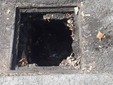 Allarme sicurezza nella zona del parco Sempione Allarme sicurezza nella zona del parco Sempione