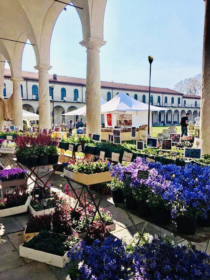 Follia in Fiore dà il benvenuto alla Primavera a Collegno