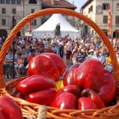 Carmagnola, Fiera del Peperone 2023: il 3 settembre appuntamento con il Peperone Day