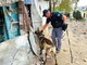 Nella zona di Parco Sempione controlli a tappeto della Polizia Nella zona di Parco Sempione controlli a tappeto della Polizia