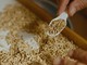 Agroalimentare, Risso: “Agricoltori e trasportatori condividono le stesse difficoltà. Tutelare l’intera filiera” Agroalimentare, Risso: “Agricoltori e trasportatori condividono le stesse difficoltà. Tutelare l’intera filiera”