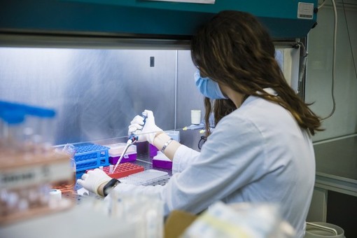 Fondazione Ricerca Molinette: al via il bando 2026 da 250.000 euro per la ricerca d'eccellenza