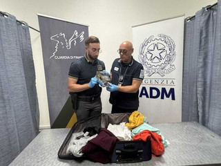 Ai controlli a Caselle spunta una testa di coccodrillo