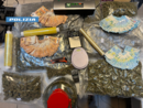 La droga trovata presso l'abitazione dell'uomo La droga trovata presso l'abitazione dell'uomo
