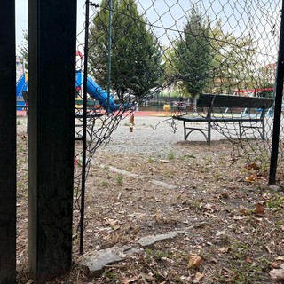 Cuzzilla: “Più controlli e più associazioni per contrastare i ladri”