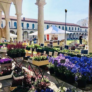 Follia in Fiore dà il benvenuto alla Primavera a Collegno