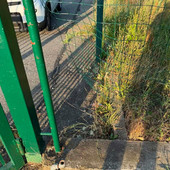 Il varco da cui sono entrati i ladri Il varco da cui sono entrati i ladri